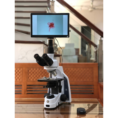 Kinh hien vi Euromex IS.1153-EPL kem camera man iPad (hình 4).jpg